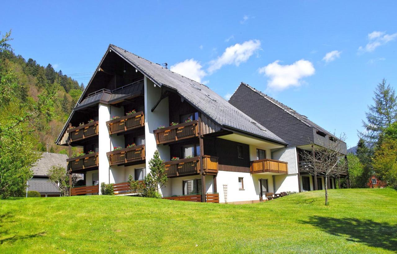 C2 Albmatte-Fewo , Hallenbad Aussenbecken Massagen Nebenan St. Blasien Dış mekan fotoğraf
