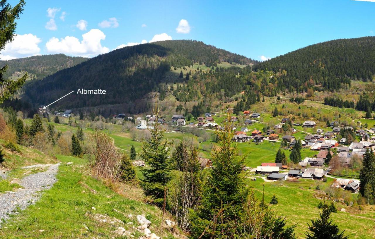 C2 Albmatte-Fewo , Hallenbad Aussenbecken Massagen Nebenan St. Blasien Dış mekan fotoğraf