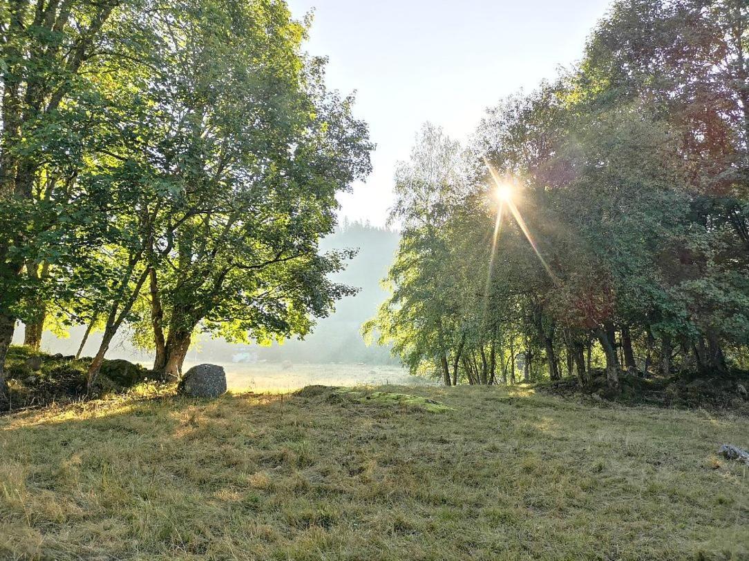 C2 Albmatte-Fewo , Hallenbad Aussenbecken Massagen Nebenan St. Blasien Dış mekan fotoğraf