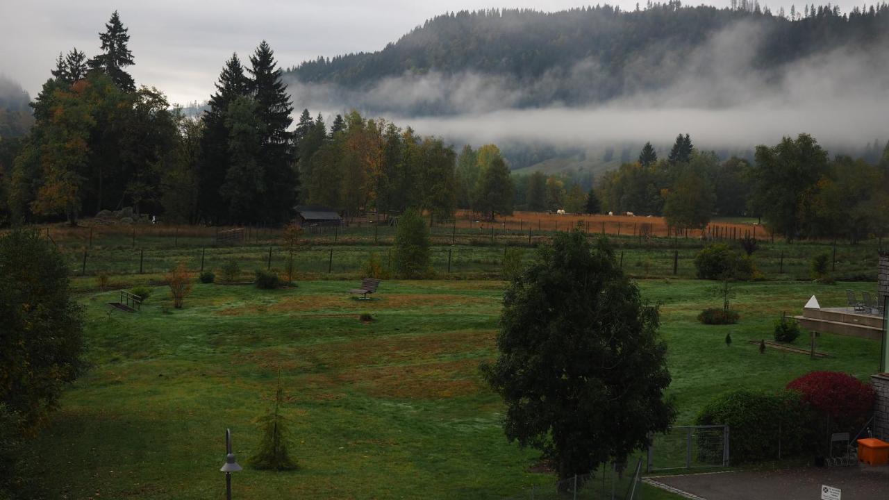 C2 Albmatte-Fewo , Hallenbad Aussenbecken Massagen Nebenan St. Blasien Dış mekan fotoğraf