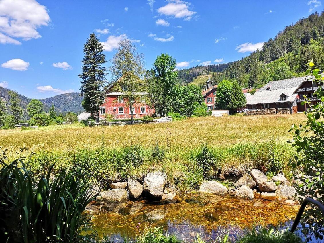 C2 Albmatte-Fewo , Hallenbad Aussenbecken Massagen Nebenan St. Blasien Dış mekan fotoğraf