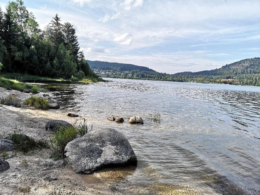 C2 Albmatte-Fewo , Hallenbad Aussenbecken Massagen Nebenan St. Blasien Dış mekan fotoğraf
