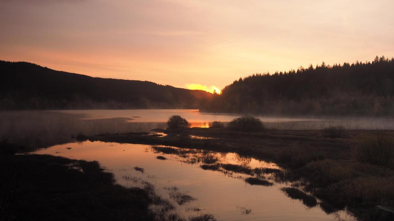 C2 Albmatte-Fewo , Hallenbad Aussenbecken Massagen Nebenan St. Blasien Dış mekan fotoğraf