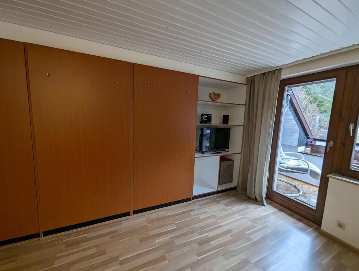 C2 Albmatte-Fewo , Hallenbad Aussenbecken Massagen Nebenan St. Blasien Dış mekan fotoğraf