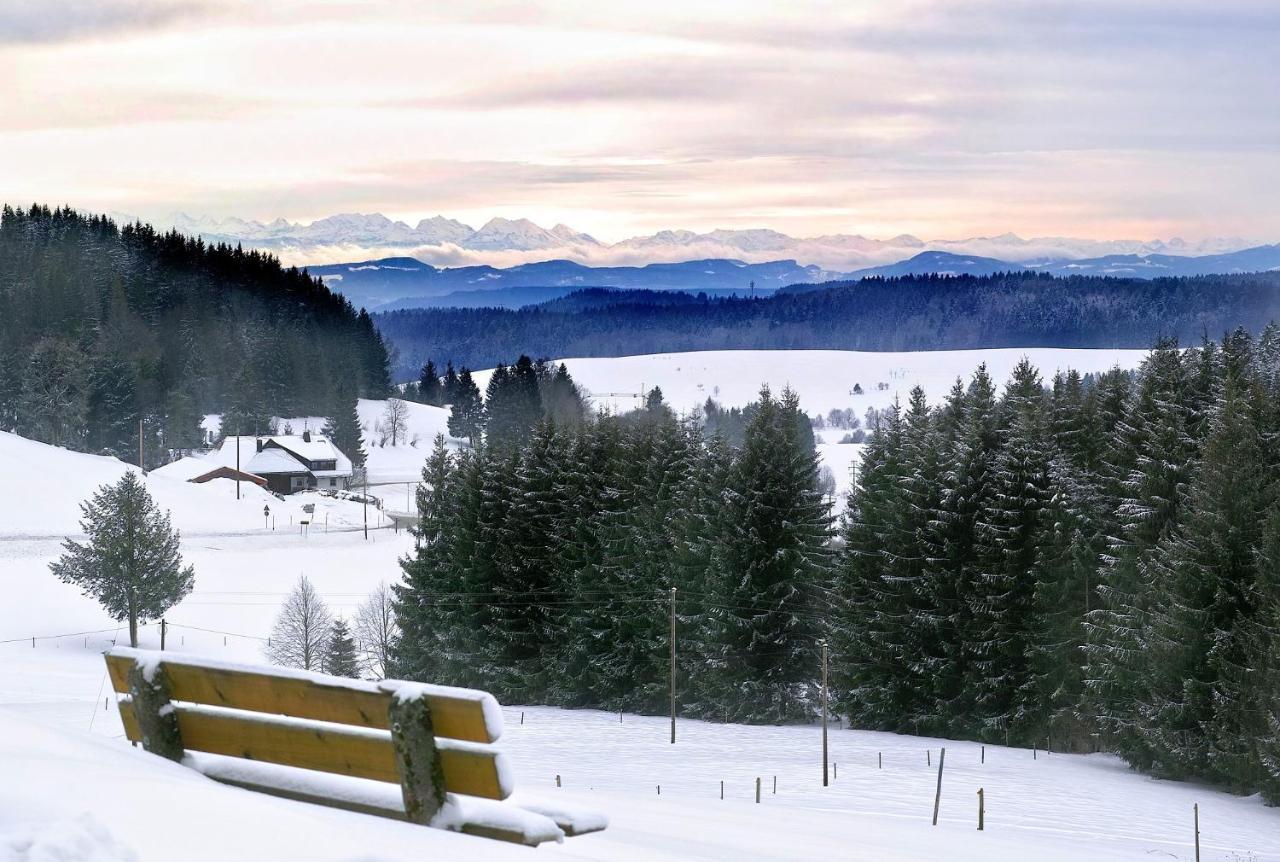 C2 Albmatte-Fewo , Hallenbad Aussenbecken Massagen Nebenan St. Blasien Dış mekan fotoğraf