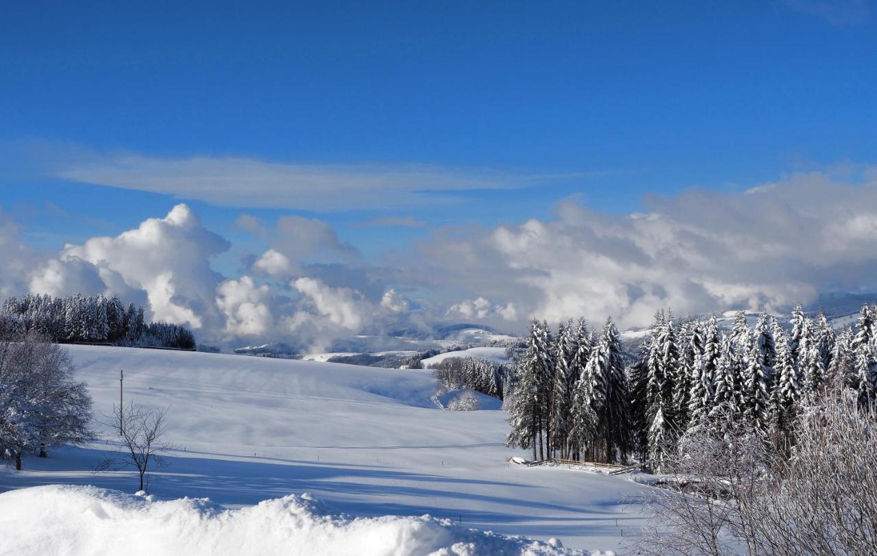 C2 Albmatte-Fewo , Hallenbad Aussenbecken Massagen Nebenan St. Blasien Dış mekan fotoğraf