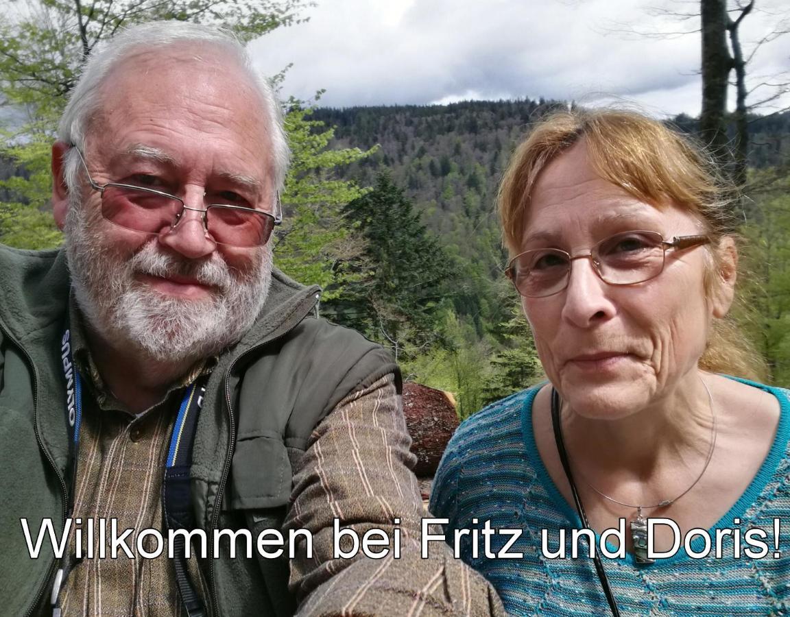 C2 Albmatte-Fewo , Hallenbad Aussenbecken Massagen Nebenan St. Blasien Dış mekan fotoğraf
