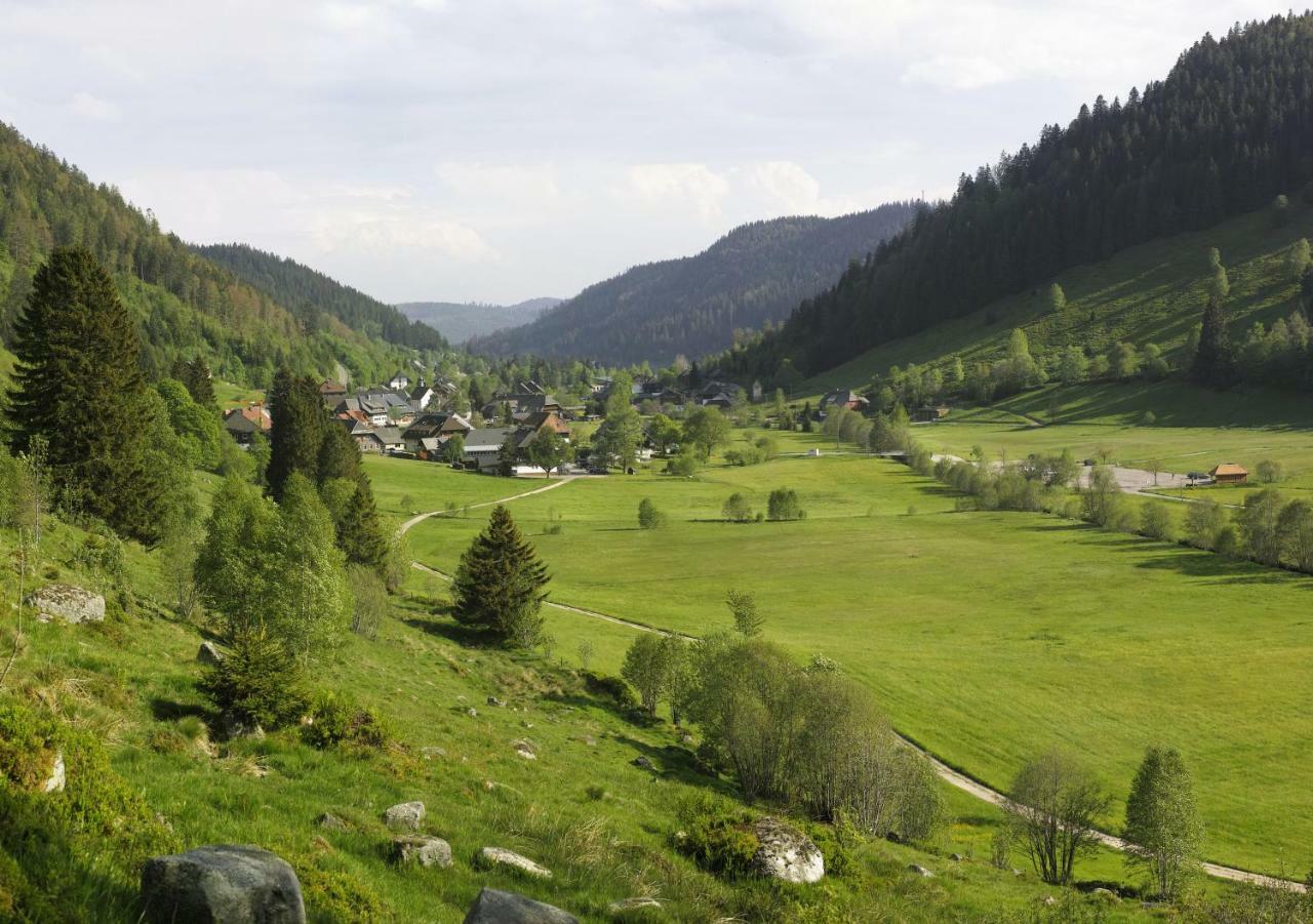 C2 Albmatte-Fewo , Hallenbad Aussenbecken Massagen Nebenan St. Blasien Dış mekan fotoğraf