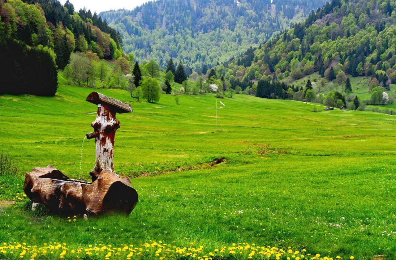 C2 Albmatte-Fewo , Hallenbad Aussenbecken Massagen Nebenan St. Blasien Dış mekan fotoğraf