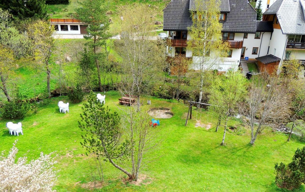 C2 Albmatte-Fewo , Hallenbad Aussenbecken Massagen Nebenan St. Blasien Dış mekan fotoğraf