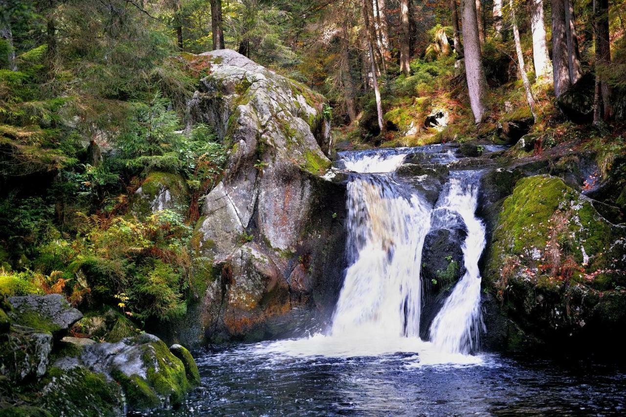 C2 Albmatte-Fewo , Hallenbad Aussenbecken Massagen Nebenan St. Blasien Dış mekan fotoğraf